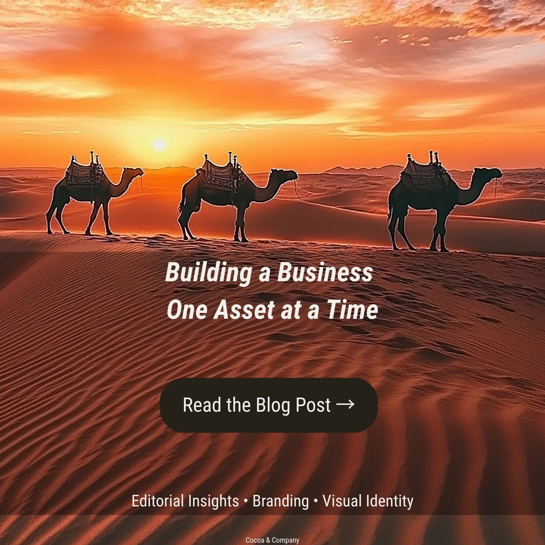 Building a Business One Asset at a Time